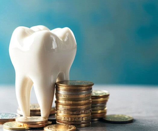 tooth model next to stacks of coins